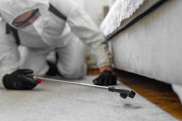 Professional Bed Bug Control technician working in Greenville, AL