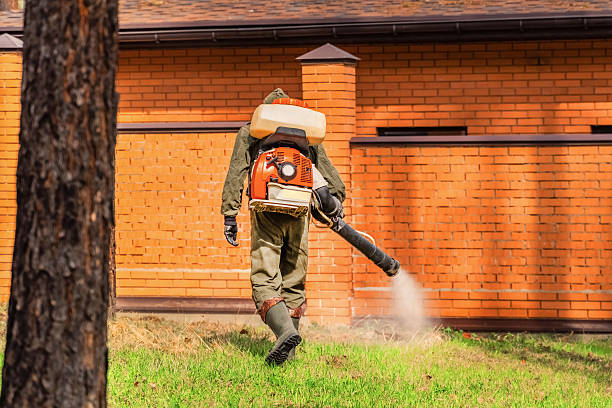 Trusted Termite Control service in Greenville, AL - Nex Pest Control